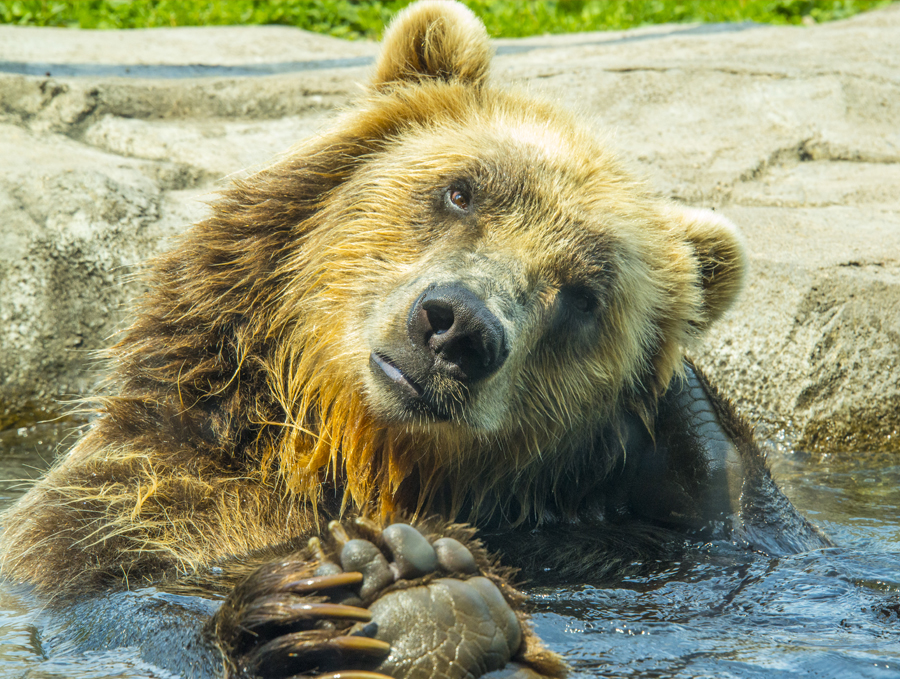 Lava Submarine Studio Photography. Graphic Design. Audio Recording.